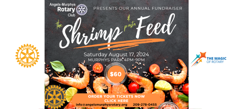 Home Angels Murphys Rotary