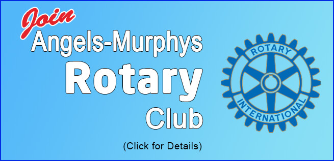 join rotary today